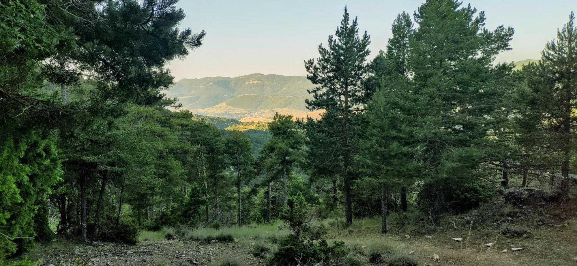 Alojamiento Rural Los Hacheros Tragacete Habitación foto